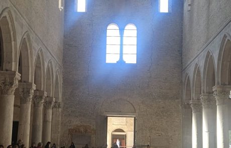 Gita culturale nel Friuli Venezia Giulia - 28/3/2026