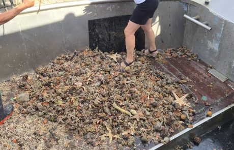Tra mare, tradizioni e memoria lungo la costa istriana Tra mare, tradizioni e memoria lungo la costa istriana